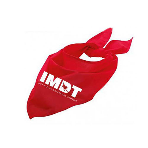 Pet Dog Triangle Bandana