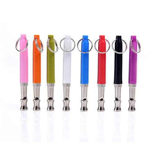 Training Whistle 